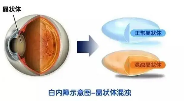 圖片1.png