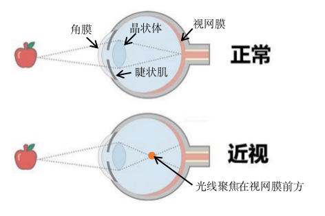 圖片3.png