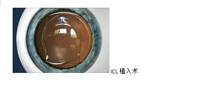 微信截圖_20231012095634.png